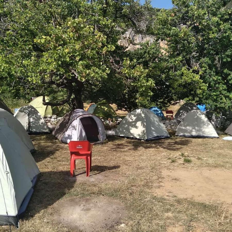 מלון Vuno Gjipe Eco Campground מראה חיצוני תמונה