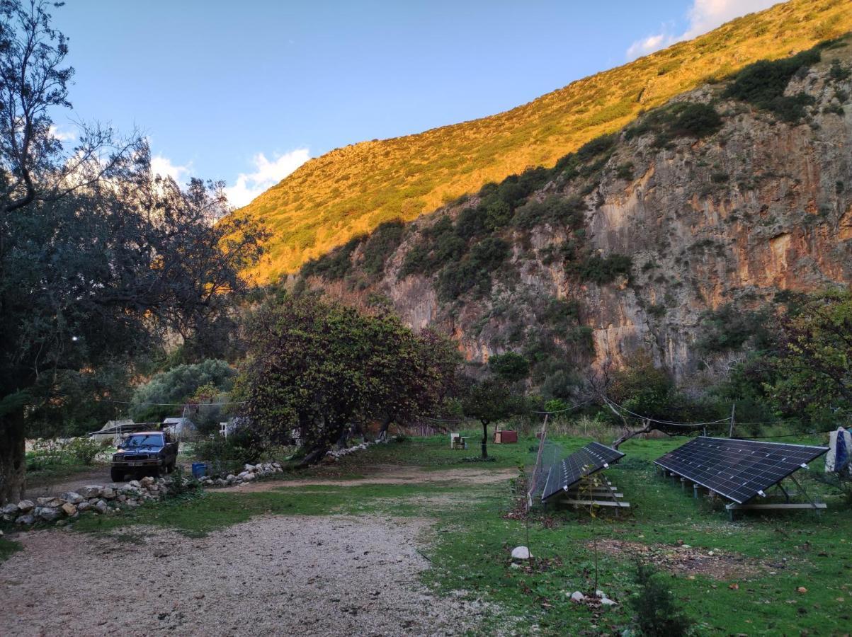 מלון Vuno Gjipe Eco Campground מראה חיצוני תמונה